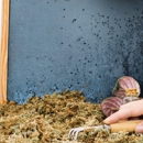 Bugman Pest Control & Mole - Pest Control Equipment & Supplies