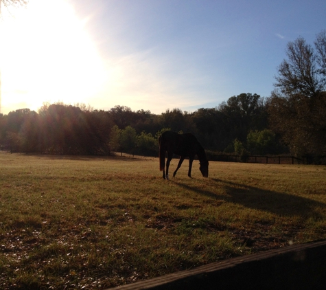 Copperfield Farm LLC - Weirsdale, FL