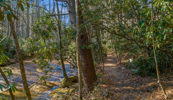 Tuxedo Falls - Zirconia, NC