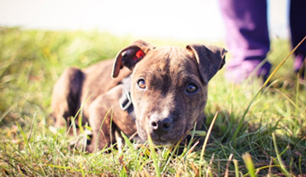 Macleay Valley Veterinary Services - Kempsey, NSW