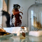 Prey Taxidermy