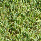 Gallery Image Number 2