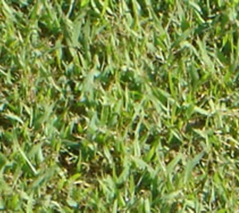 Bundaberg Turf Supplies - Meadowvale, QLD