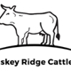 Whiskey Ridge Cattle Co