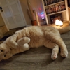 Live Oak Veterinary Clinic gallery