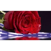 Gallery Image Number 1