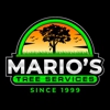 Mario's Tree Services gallery