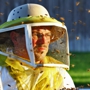 American Beekeeping