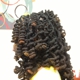 Lotus Locs Natural HairCare