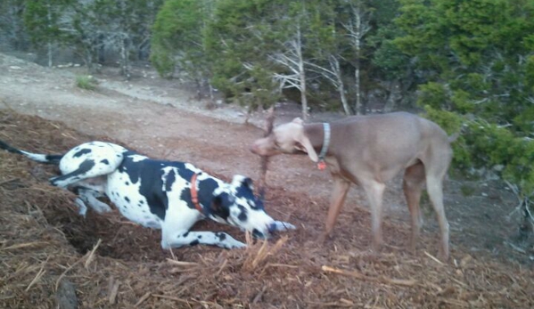 A to Z Dog Ranch - Spicewood, TX