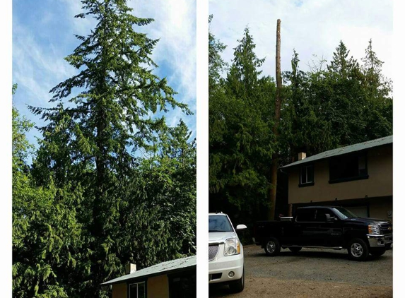 At the top tree service llc - Deming, WA