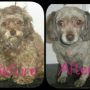 Jessica's Pampered Pets - Pet Grooming