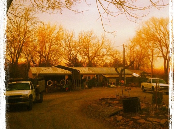 Strawberry Hill Christmas Tree Farm - Lawrence, KS