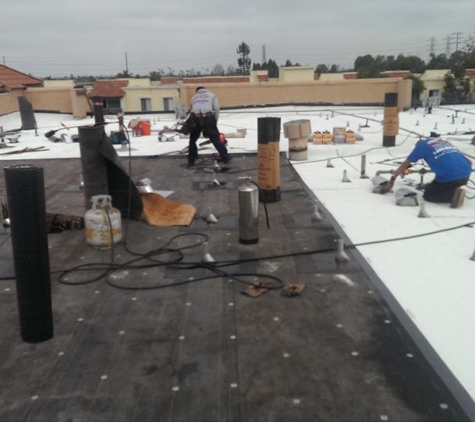 Modern Roofing