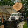 Oakland Tree Service