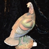 Carrie's Cove gallery