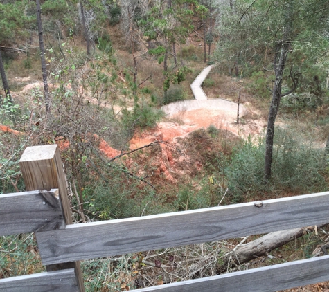 Bogue Chitto State Park - Franklinton, LA