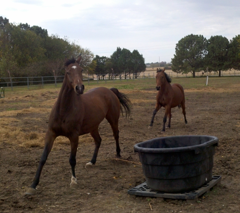 K/B Stables - Lincoln, NE