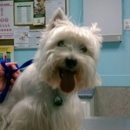 Gentle Care Animal Hospital PC - Veterinary Clinics & Hospitals