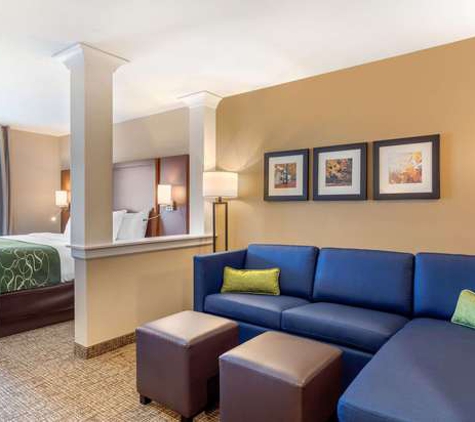 Comfort Inn & Suites Schenectady -Scotia - Schenectady, NY