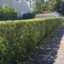 Justin's Landscape & Tree Services - Tree Service