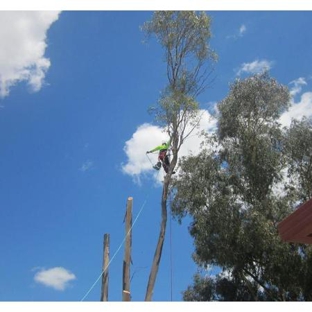 Bell's Tree Service - Oxley Vale, NSW