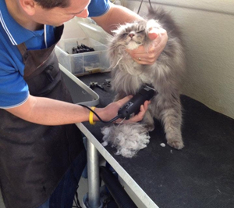 Man's Best Friend Dog Grooming - Strathfieldsaye, VIC