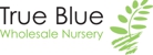 True Blue Nursery
