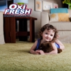 Oxi Fresh Carpet Cleaning gallery