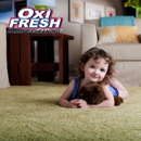 Oxi Fresh of South Elgin Carpet Cleaning - Carpet & Rug Cleaners