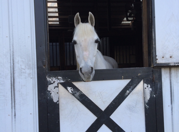 Chastain Horse Park - Atlanta, GA