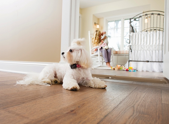 Invisible fence By Pet Alert - Manasquan, NJ