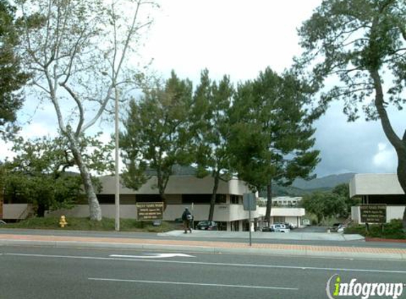 Top Electronics - Agoura Hills, CA