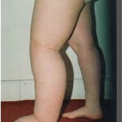 Gallery Image Number 1