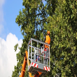 Shaw's Tree Service - Jacksonville, FL