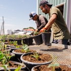 Arbor Valley Nursery