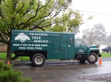 Free Wood Chips  Traverso Tree Service