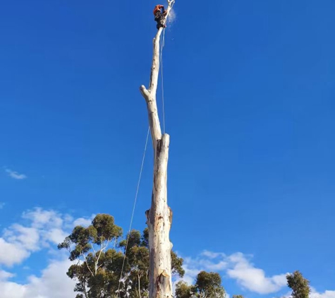 Nelson's Tree Services