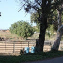 Rancho Linda Mio Horse Boarding & Training Facility - Horse Training