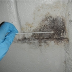 Healthy Home Mold Inspection