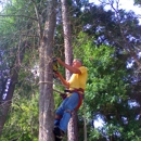D-Best Tree Care - Arborists