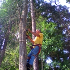 D-Best Tree Care