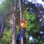 D-Best Tree Care