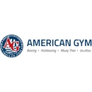 American Gym - Boxing Instruction