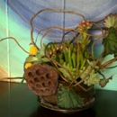 Meadowsweet Floral Designs - Florists