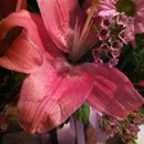 Dhun's Florist - Gift Shops