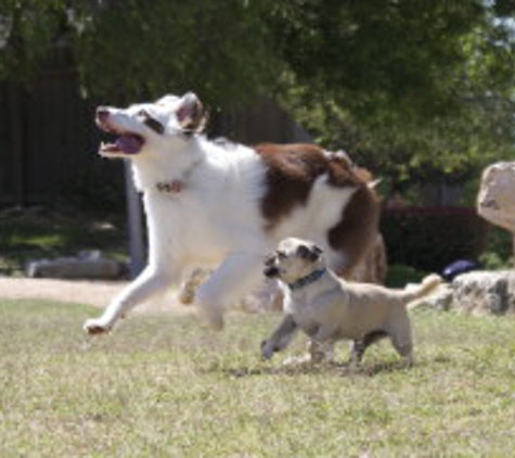 Walk! ATX Pet Care - Austin, TX
