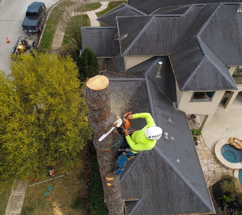 Thompson Tree Climbers - Columbia, SC