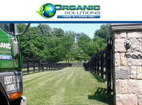 Organic Solutions Tree & Lawn Inc. - Massapequa, NY