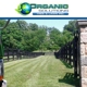 Organic Solutions Tree & Lawn Inc.